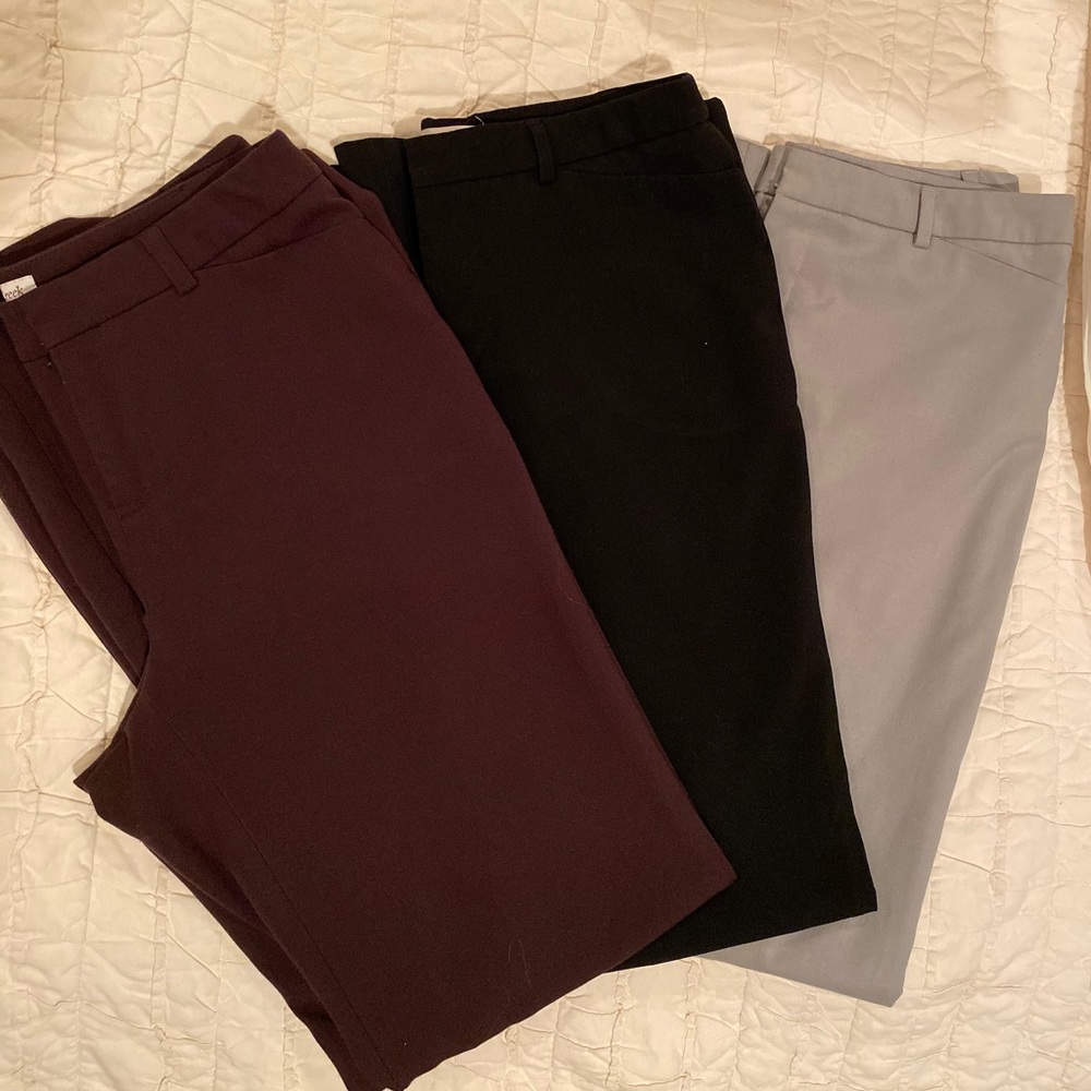Coldwater Creek Bootcut Dress Pants (Bundle)
